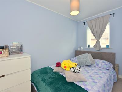Picture 11